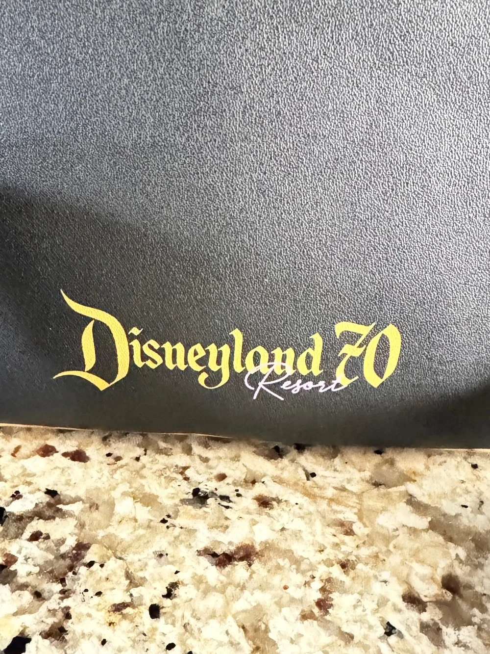 Disney Black loungefly with castle 'Disneyland 70 Resort' Logo